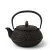 MIYA Company Cast Iron Teapot 0.65L