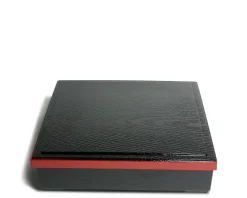Hot MIYA Company Lunchbox 9.5