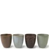Outlet MIYA Company Teacup Pacific Forest Matte Set Of 4